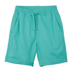 Y-3 Mens French Terry Shorts / Teal